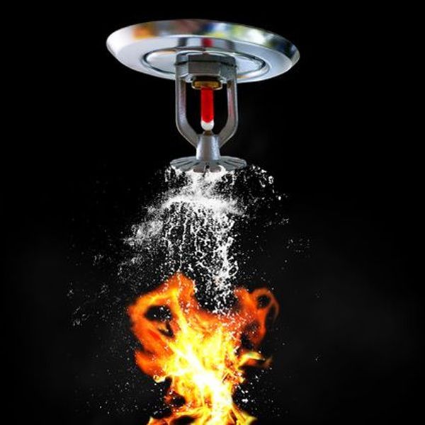 Fire Sprinkler